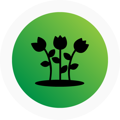 FLOWER BED