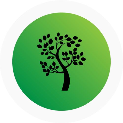 TREE REMOVAL
